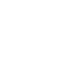 windows 11