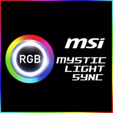 MSI