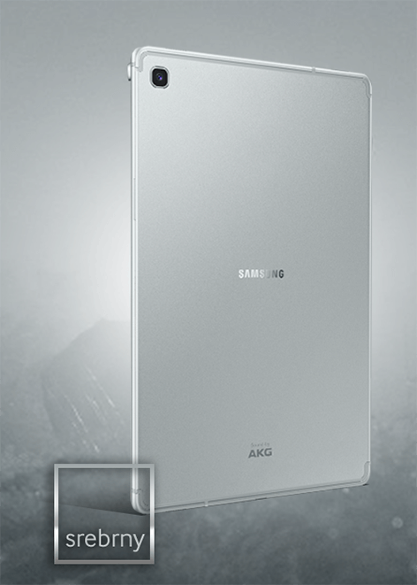 Samsung Galaxt Tab S5 Srebrny