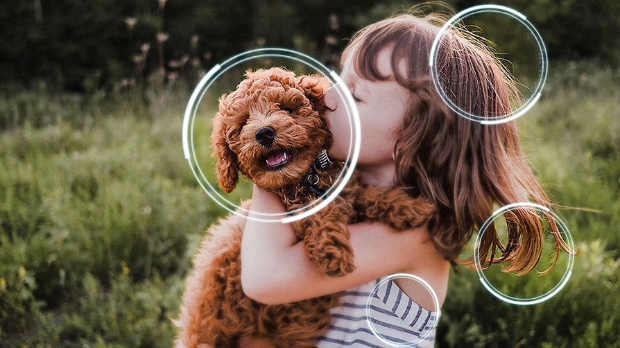 Skalowanie AI 4K Pro w telewizorze Samsung Mini LED Neo QLED dziewczynka z psem