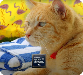 Skalowanie AI w super dużych telewizorach Samsung dostępnych w sieci sklepów X-Kom.